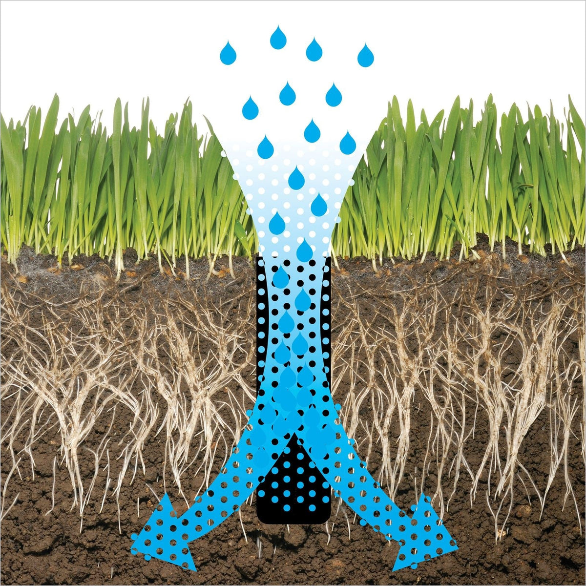 Heavy-Duty Two-Prong Extended Reach Steel Coring Aerator with T-Handle, 38-in