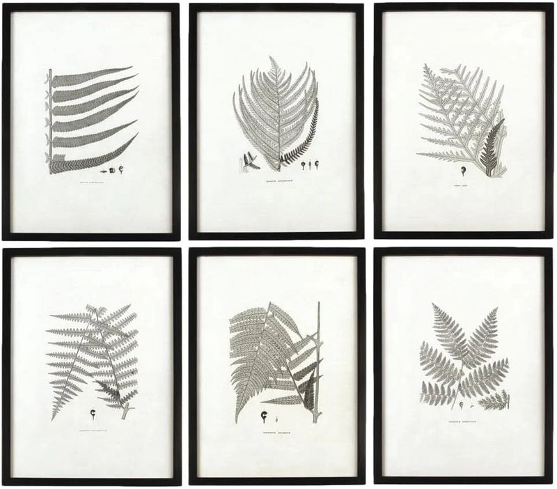 MY SWANKY HOME Modern Set of 6 Black White Fern Prints Botanical Framed Monochrome 29 in A1684