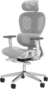Ergonomic Mesh Office Chair with 3D Adjustable Armrest,Plastic Frame High Back Desk Computer Chair Ergo3d Ergonomic Office Chair with Wheels for Home & Office Black