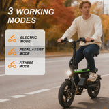 14 in Electric Bike for Adults,500W Folding E-Bike,Electric Commuter Mini Bikes,Electric Bicycles with 36V Removable Battery,Black