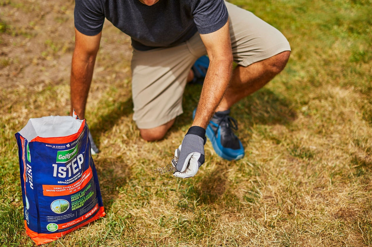 1-Step Lawn Saver + Weed Defense 10-02-02 Grass Seed, 4-kg