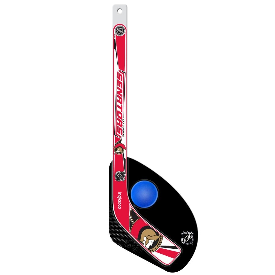 Mini Hockey Stick/Ball Set