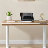 Nico Case 117 cm (46.1 in.) Height Adjustable Lift Desk, White Frame
